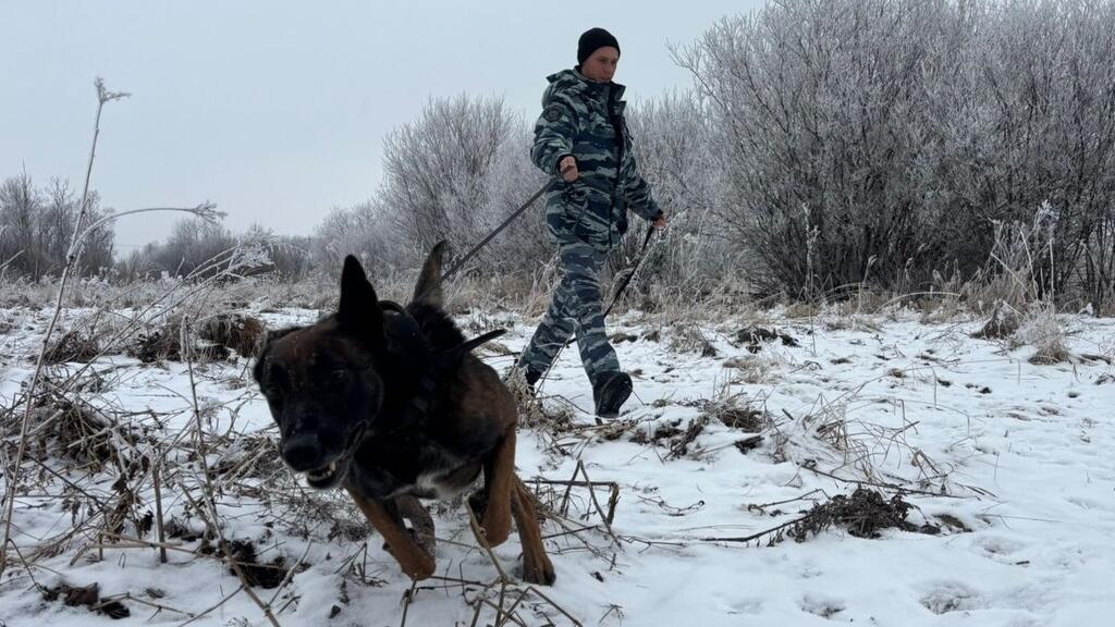 В Вологде воровку драгоценностей искали с помощью служебной собаки