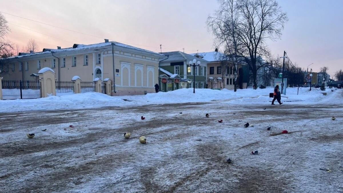 Трёх вологжан будут судить за повреждение новогодней ели