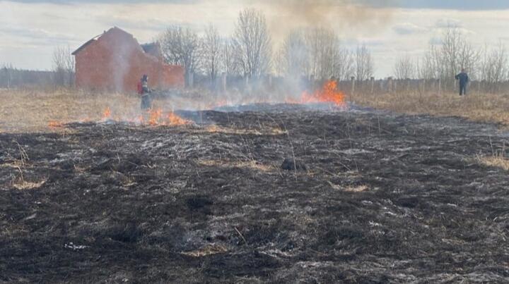 Под Вологдой мужчина решил сжечь мусор и устроил крупный пожар