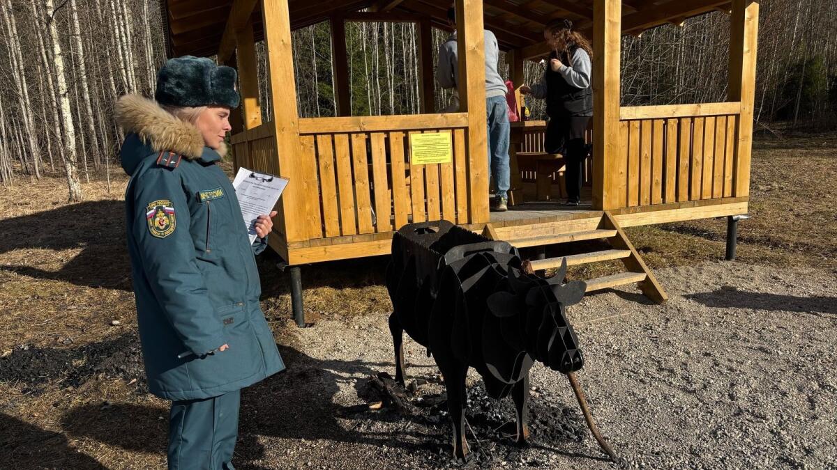 Вологжанин хотел пожарить шашлык, но получил крупный штраф