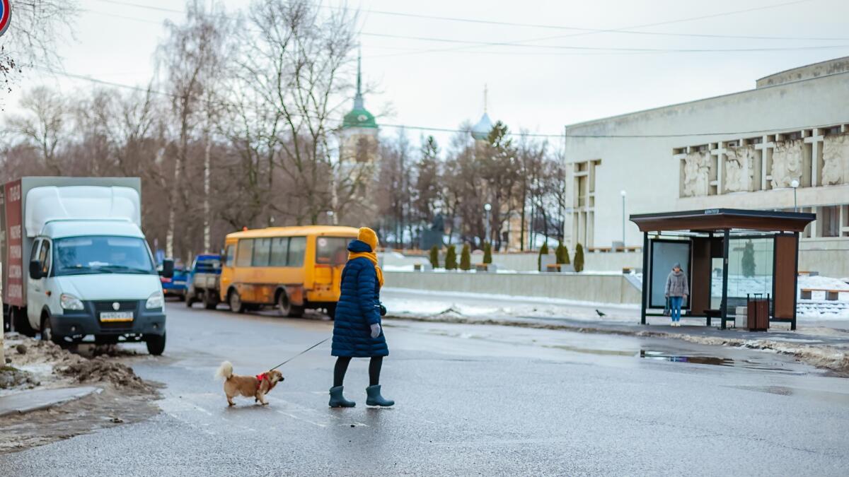 Вологжан ждёт тёплое завершение зимы