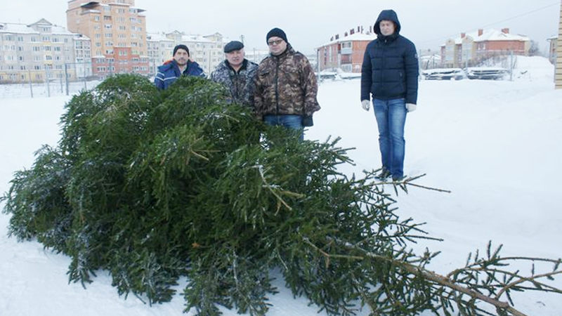 Вологодский лесхоз подарил «Деревне-SOS» новогоднюю ель