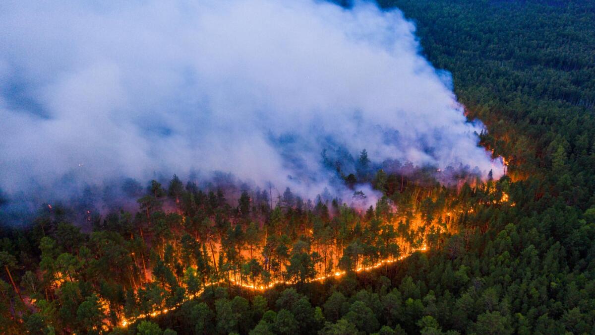 Лесные пожары бушуют в Верховажском районе