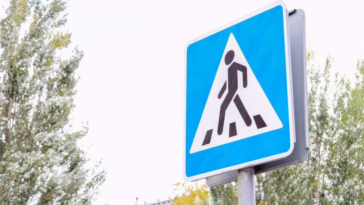 В преддверии Дня знаний в Вологде проверят дорожные знаки у школ