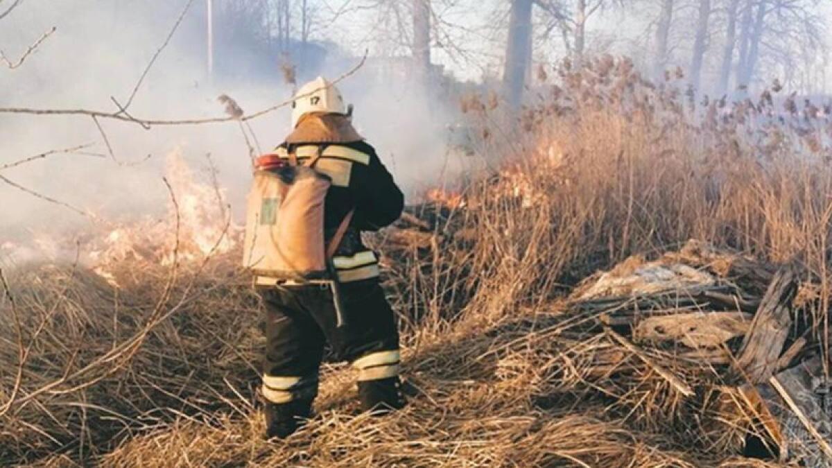 В Вологодской области установлен особый противопожарный режим