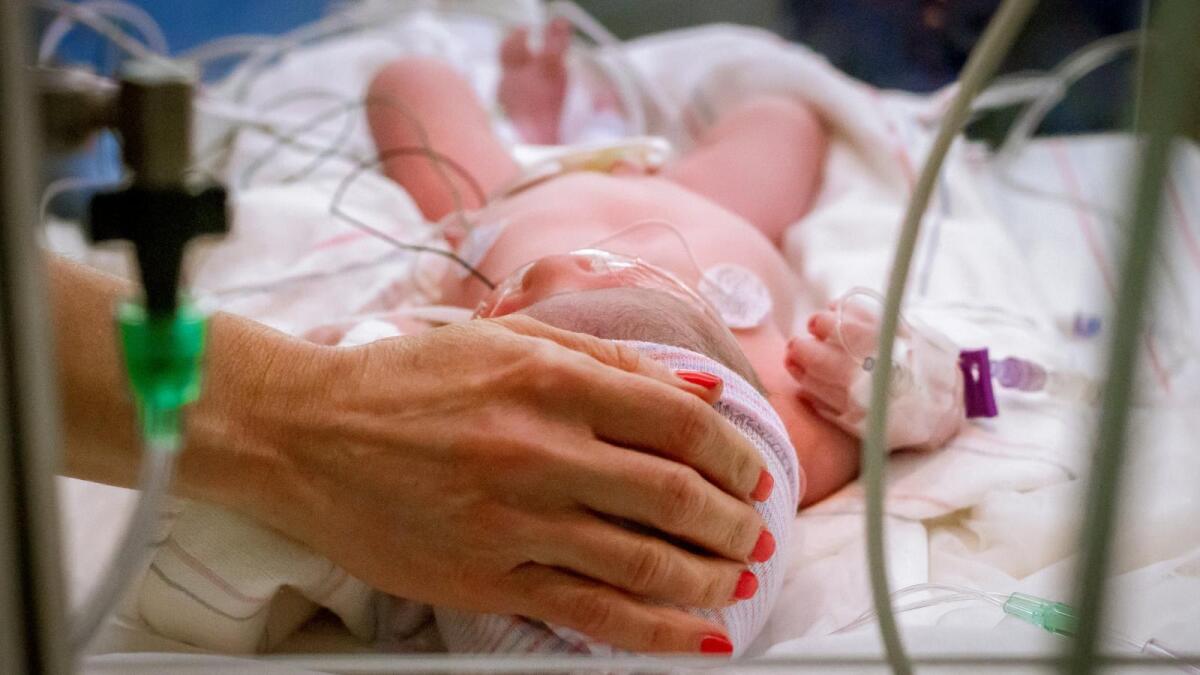 Родители винят врачей в смерти ребёнка