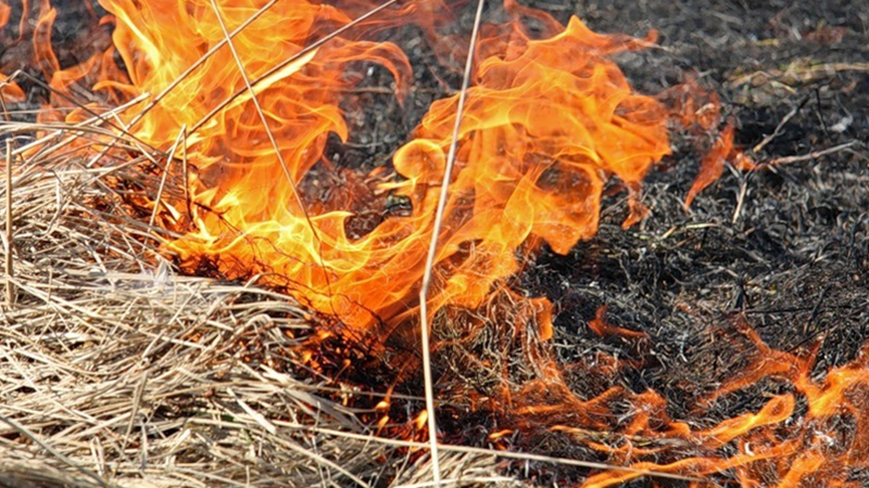 У поселка Кошта выгорело 3 гектара сухой травы