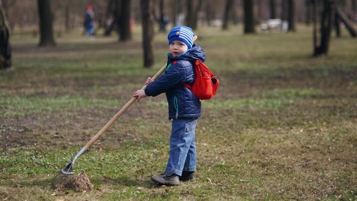 Вологжан зовут на субботник в парк Ветеранов