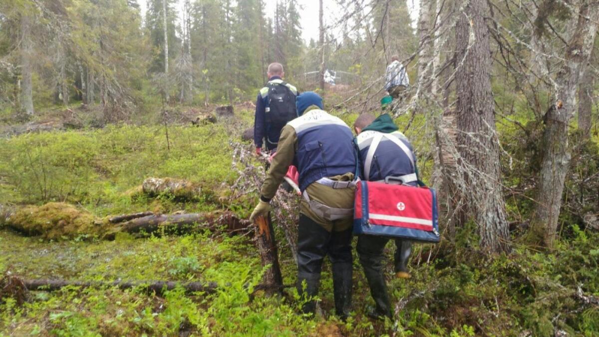 В Череповецком районе спасли мужчину, сломавшего ребра в лесу