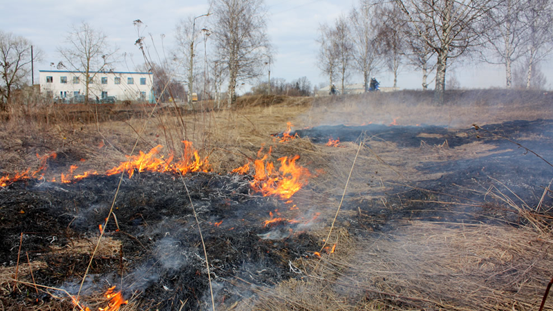 В Вожегодском районе загорелись 5 домов