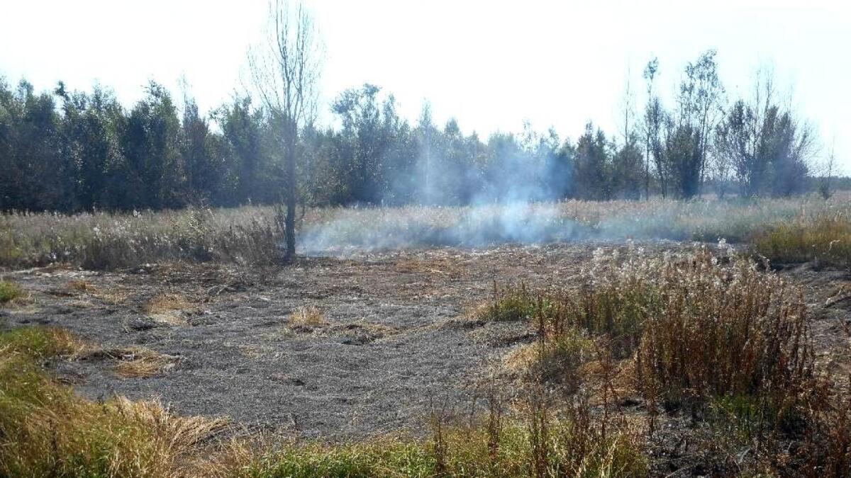 В Вологодском районе введен запрет на посещение торфяников