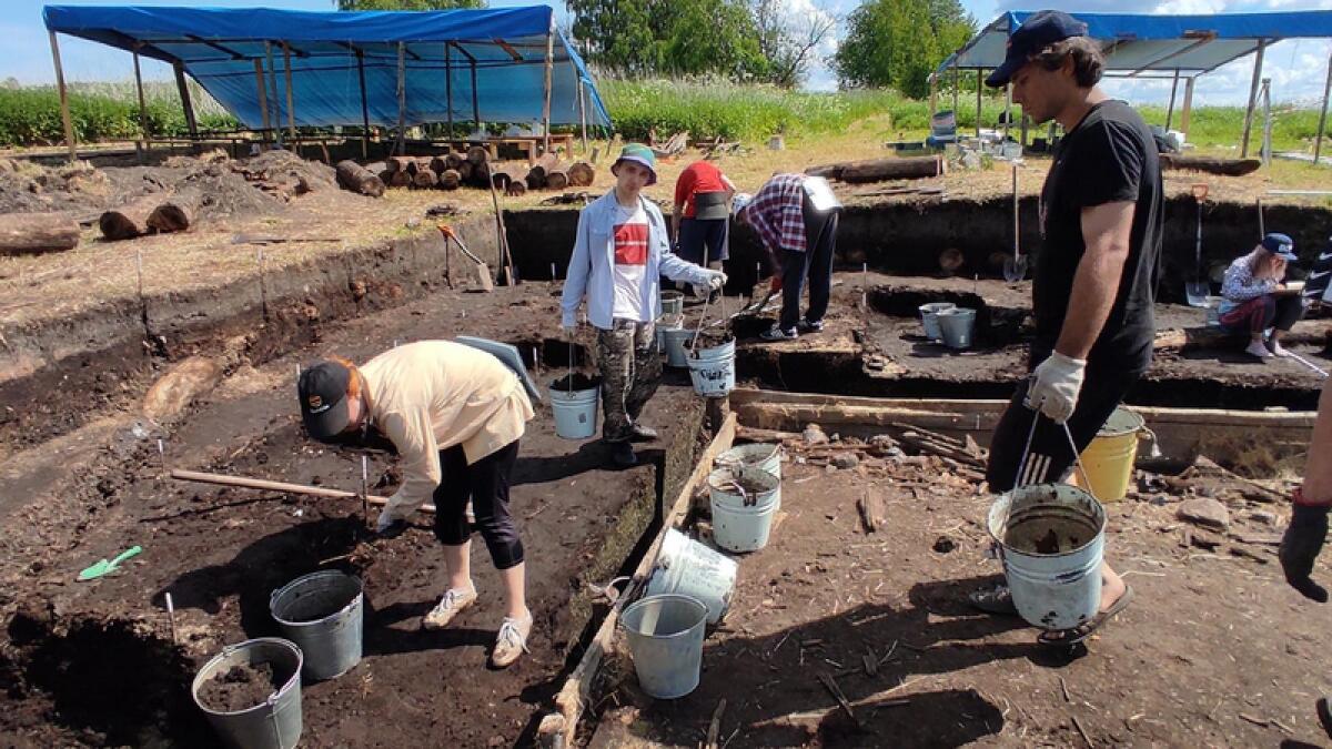 На Вологодчине нашли предмет возрастом 8 тыс. лет