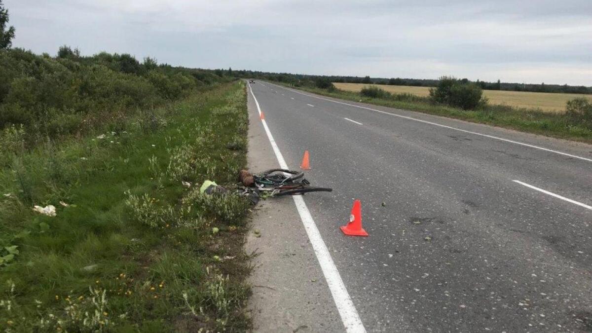Велосипедиста сбили насмерть под Соколом