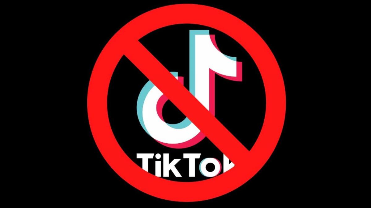 Вологодскую пранкершу заблокировали в TikTok