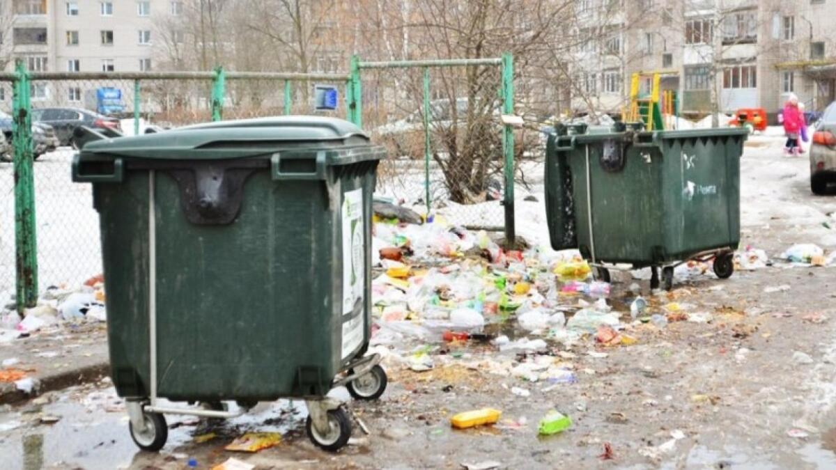 Проблема с мусорными контейнерами в Вологде