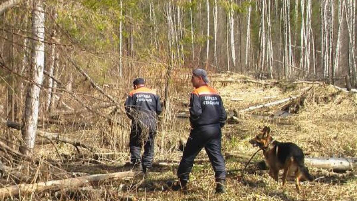 Пропавшего в лесу пенсионера нашли мёртвым