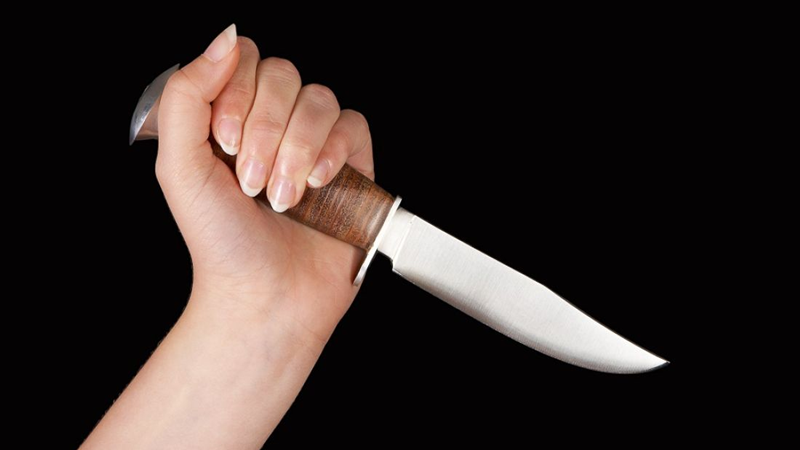 В Череповце дочь напала с ножом на своего отца
