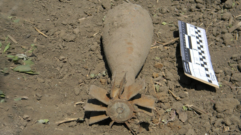 Вологодские коммунальщики нашли минометную мину