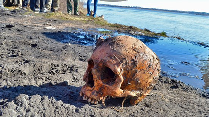 Человеческие останки были обнаружены на набережной в Великом Устюге