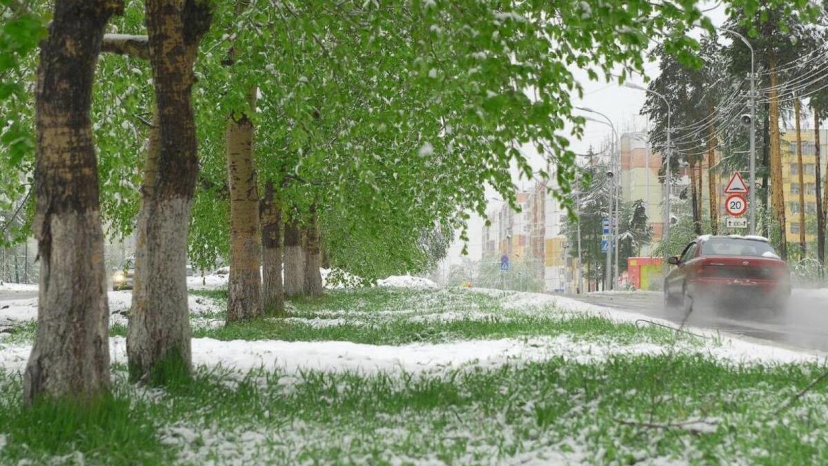 Суровое вологодское лето: синоптики обещают град и снег