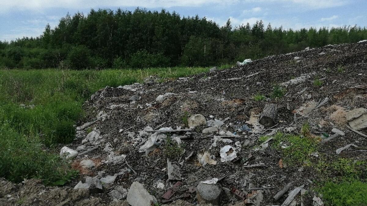 Череповецкую фабрику обязали убрать отходы из черты города