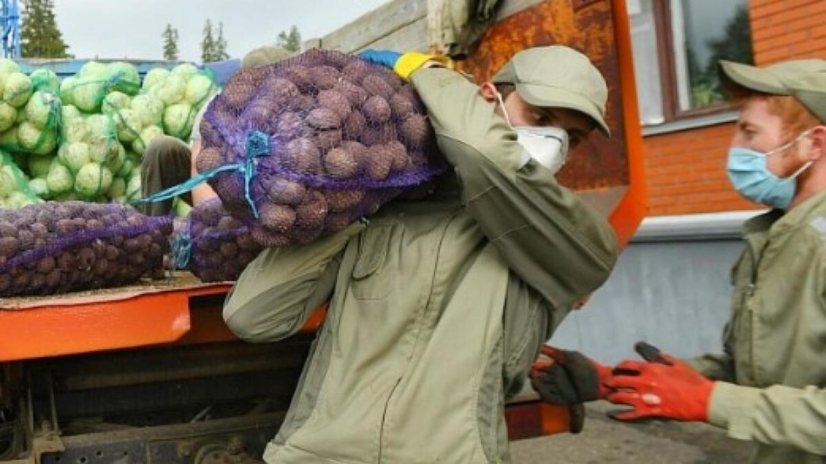 Вологжан просят поделиться урожаем