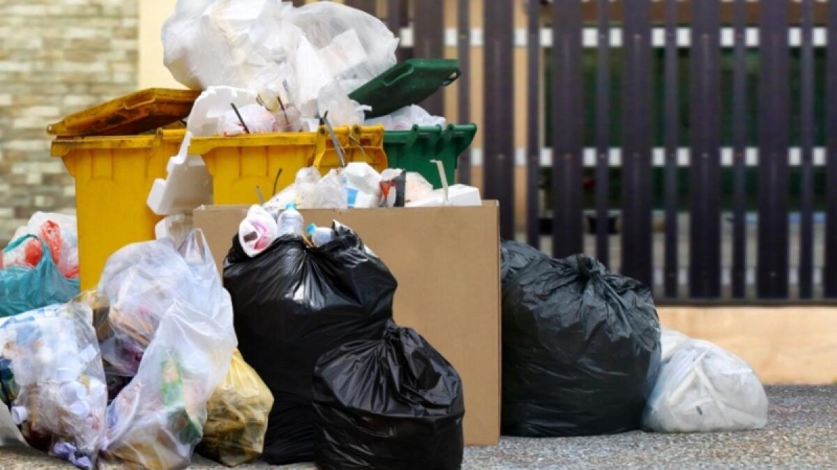 Районы Вологодской области не готовы к мусорной реформе
