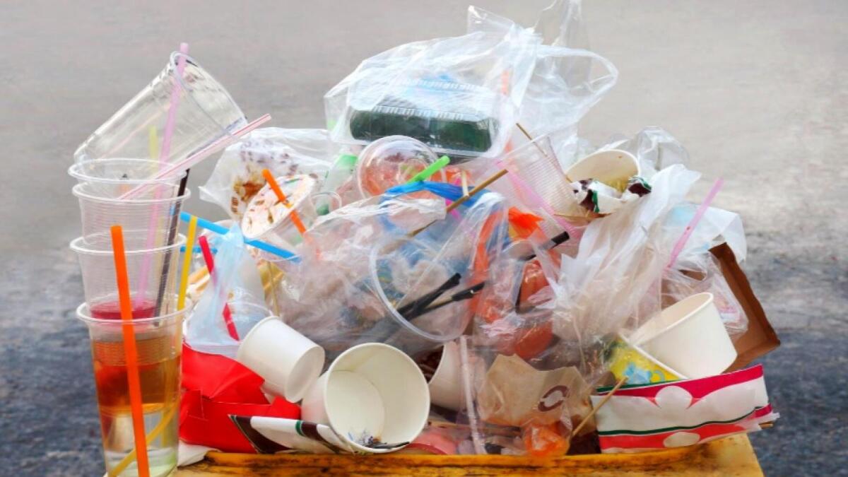 В России предлагают запретить пластиковую посуду