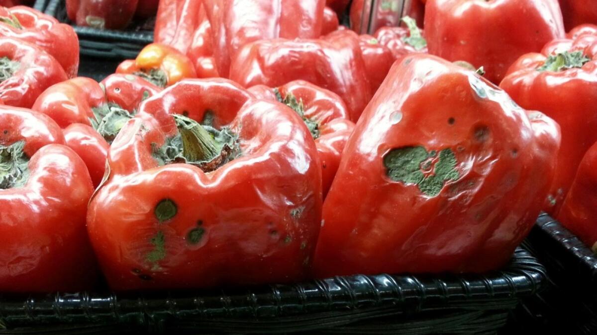 Роспотребнадзор сообщает: более 100 кг овощей в вологодских магазинах испорчены