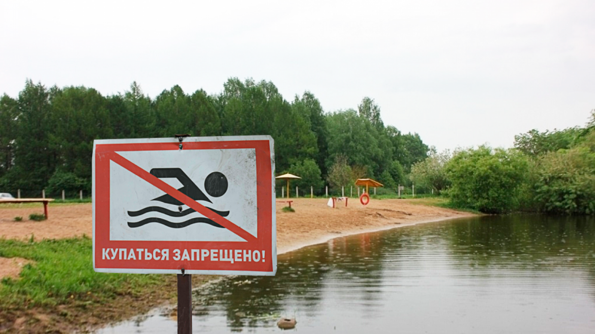 Пляж в парке Мира в Вологде официально закрыт 