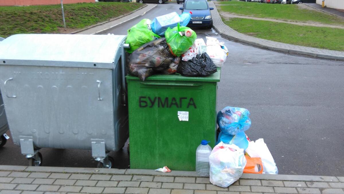 Вологжане не умеют собирать мусор раздельно