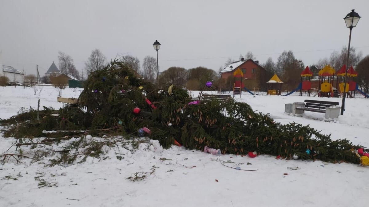 В Вологде уронили новогоднюю ель