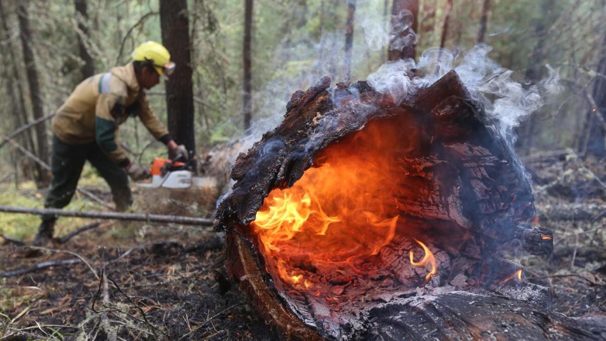 Вологжанам запретят посещать леса с высоким классом пожарной опасности