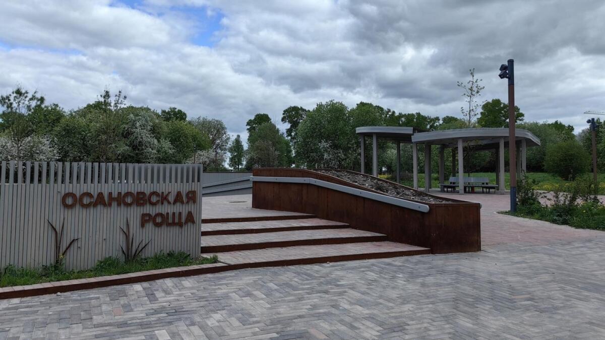 В Осановской роще в Вологде пройдёт экологический праздник