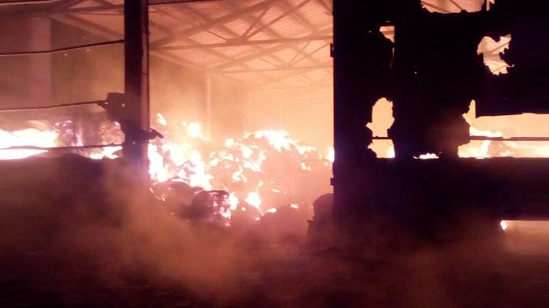 500 тонн сена сгорело в Устюженском районе