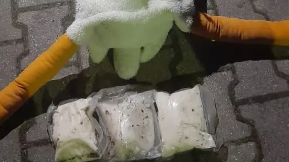 Задержан гусь, который вёз наркотики на Вологодчину