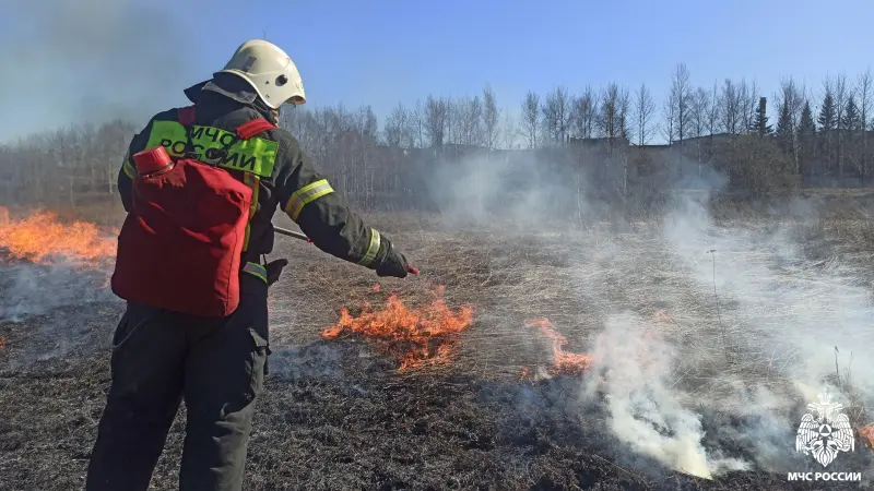 В Вологодской области вводится особый противопожарный режим