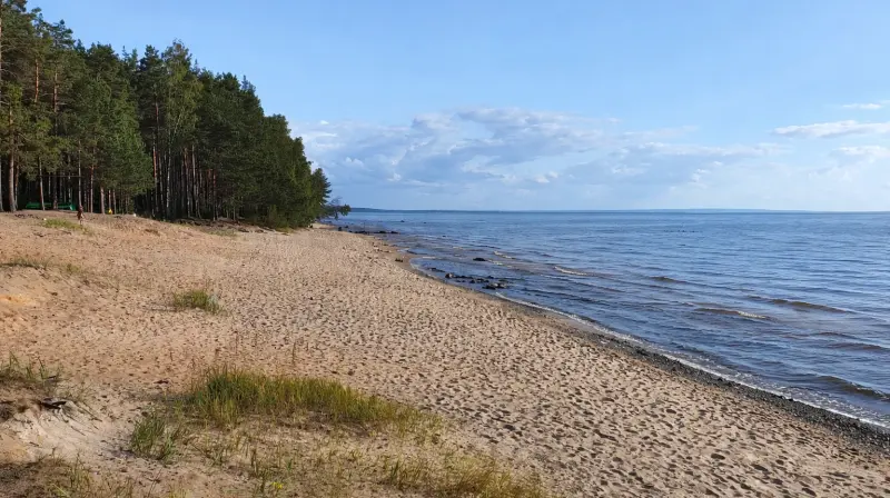 Пляж на Онежском озере