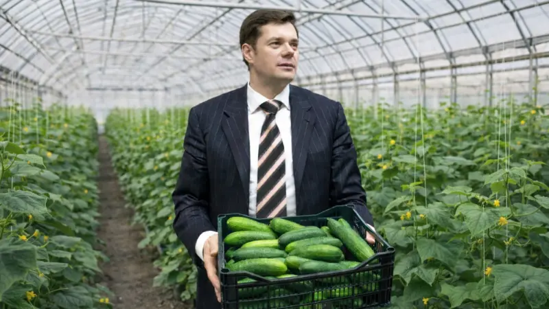 Алексей Мордашов будет выращивать огурцы