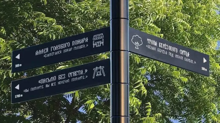 Осановская роща в Вологде станет тематической