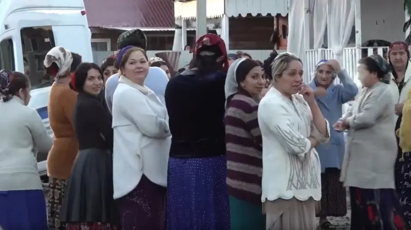 На Вологодчине обратили внимание на цыган