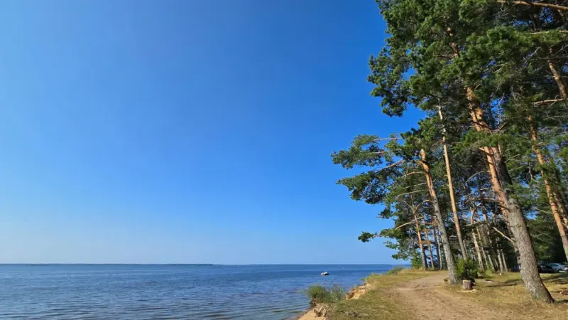 Кемпинг на р. Шексне недалеко от Череповца