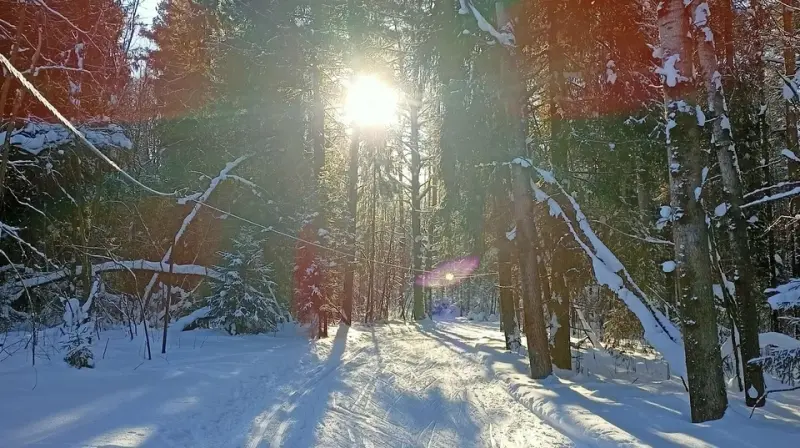 Открывается сезон на лыжной базе «Орлёнок»
