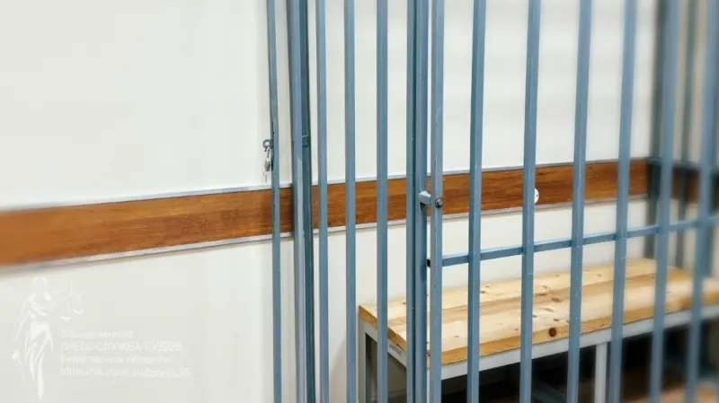 Череповчанка приютила сироту, а та её обокрала