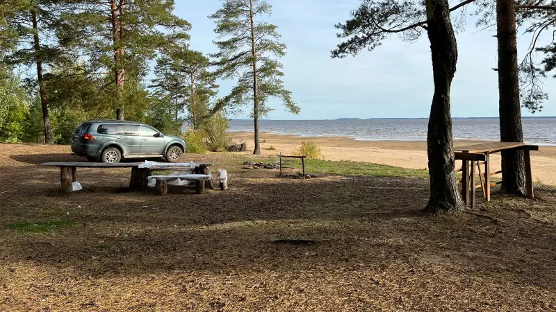 Федосов мыс на Рыбинском водохранилище