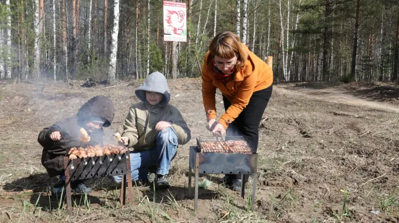 Вологжанам рассказали, как пожарить шашлыки и не получить штраф