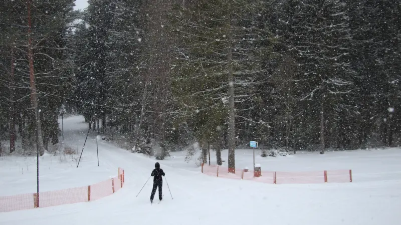 Лыжная база «Орлёнок»