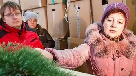 Продавцы ёлок прекращают продажи