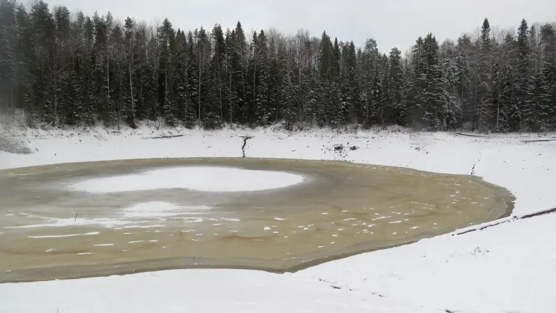 Убежавшее озеро вернулось в Вытегорский округ