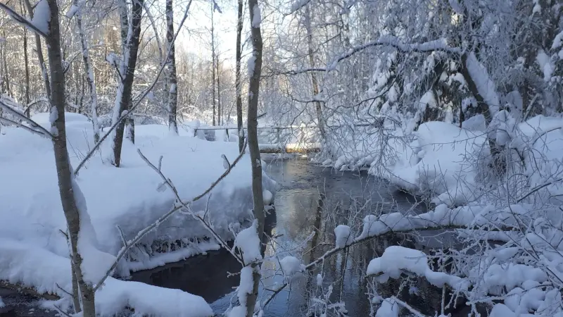 Санинские родники